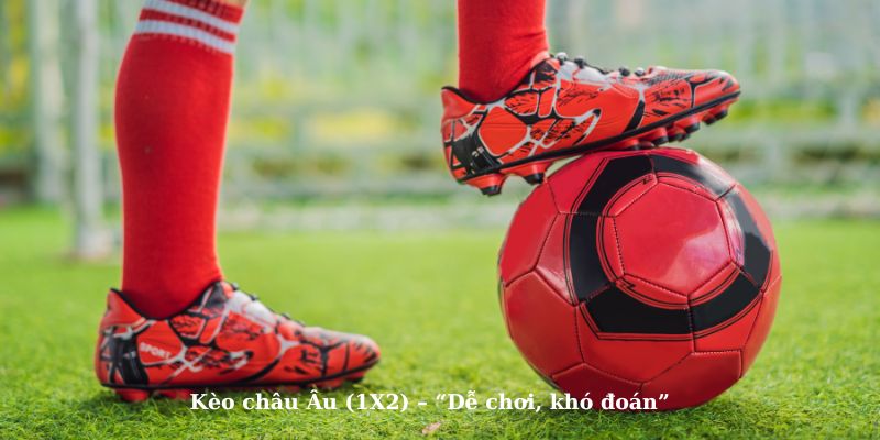 Kèo Châu Âu - Một loại kèo phổ biến tại Socolive