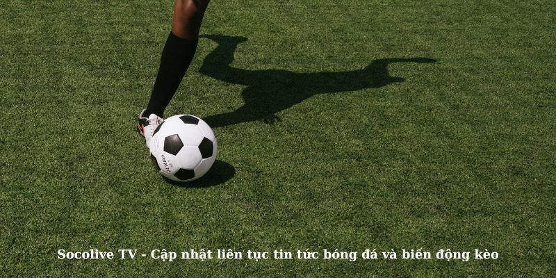 Socolive TV - Cập nhật liên tục tin tức bóng đá và biến động kèo