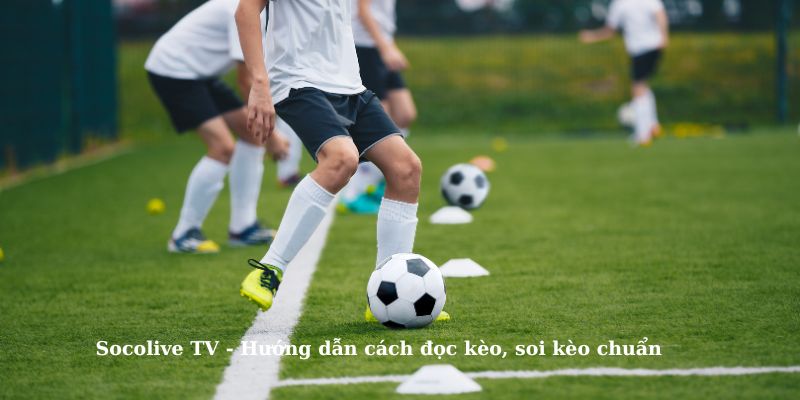 Socolive TV - Hướng dẫn đọc và soi kèo